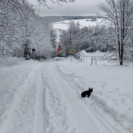 Ferienwohnung Bimmelbahn-blick *
