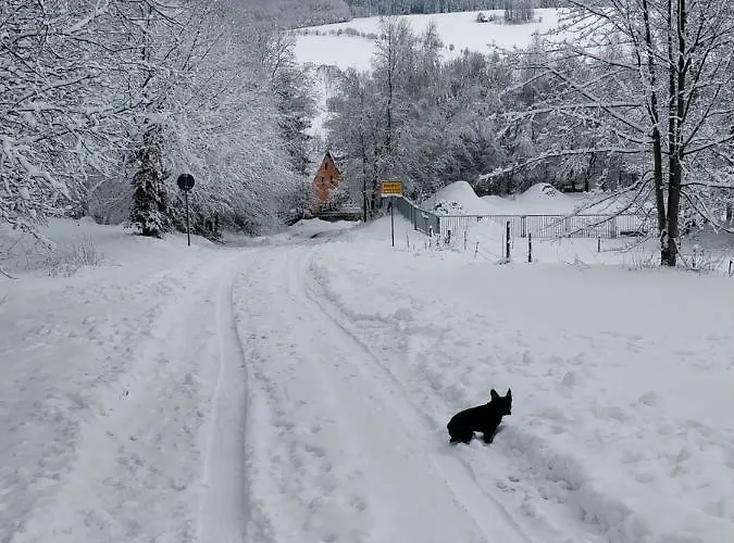 Ferienwohnung Bimmelbahn-blick *