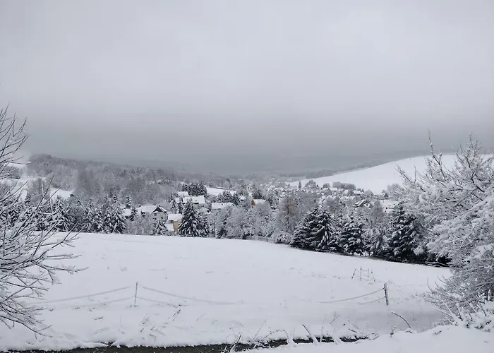 Apartament Ferienwohnung Bimmelbahn-blick Neudorf (Saxony)