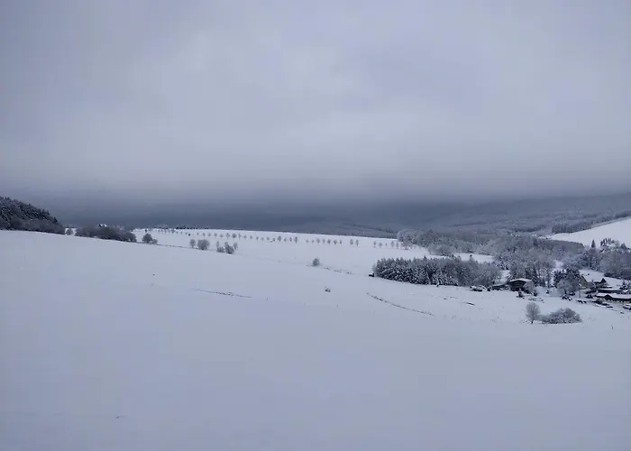 Ferienwohnung Bimmelbahn-blick Apartament *